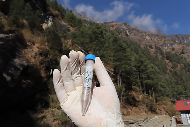 5 Tube with soil samples from a transect copy