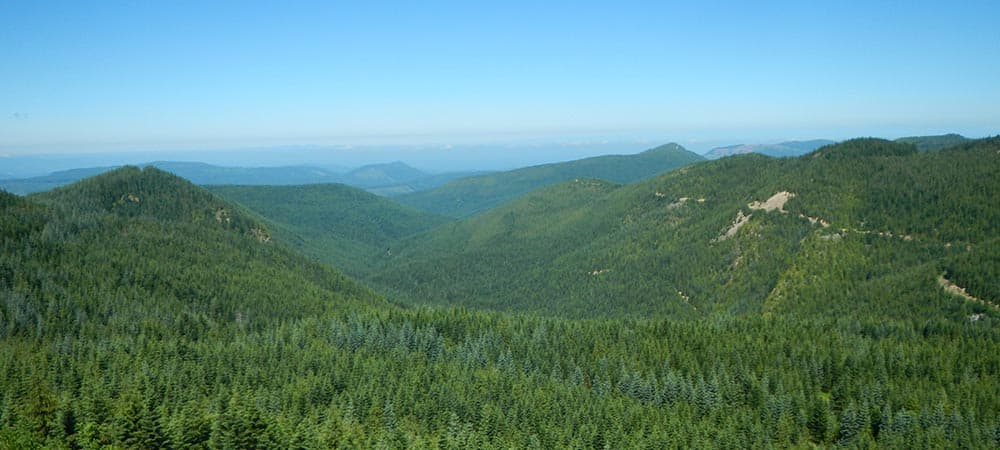 Aerial view of hilly forested land