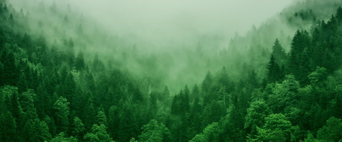 Environment hero