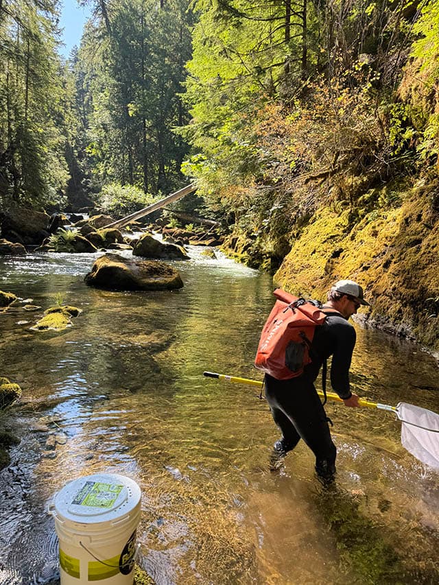 WSC North Umpqua