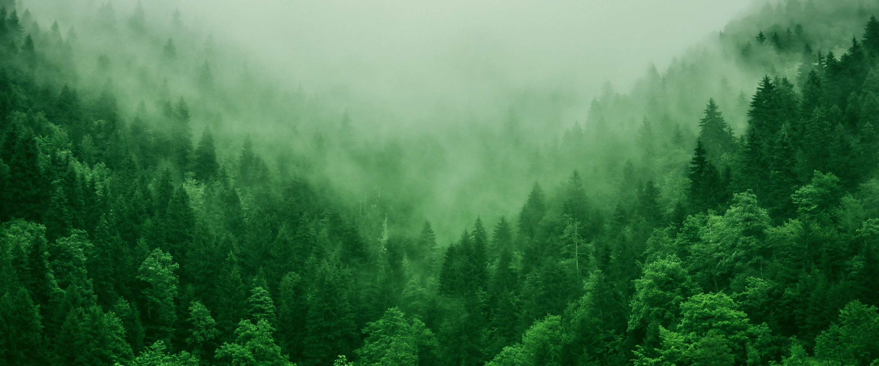 environment