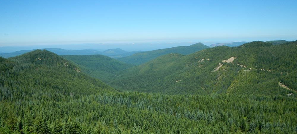 Aerial view of hilly forested land