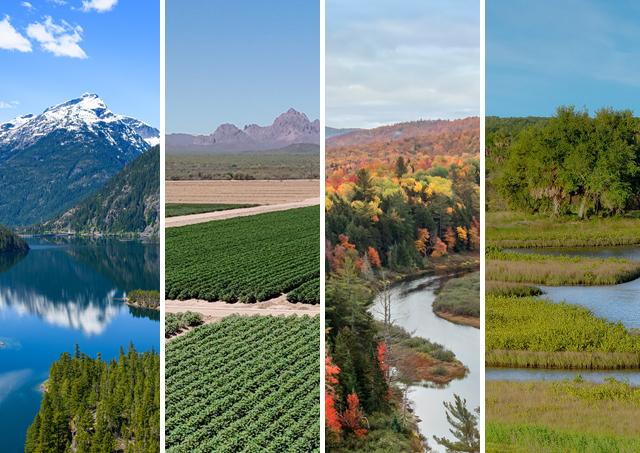 NCSintheUS StoryCard 640x453