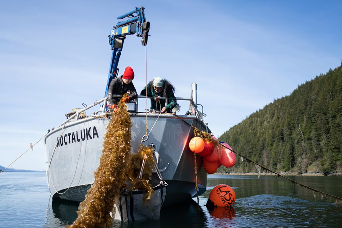 NativeConservancy Article 1100x734